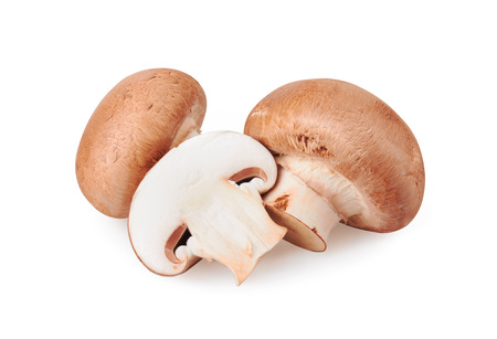 Garten-Champignon – Agaricus hortensis