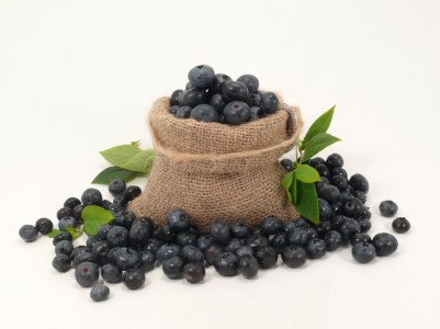Heidelbeere – Vaccinium myrtillus L.