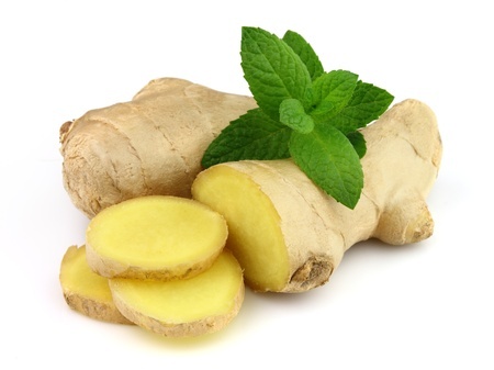 Ingwer – Zingiber officinale