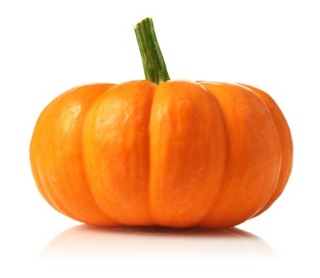 Kürbis – Cucurbita pepo