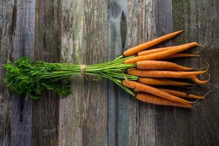 Möhre – Daucus carota