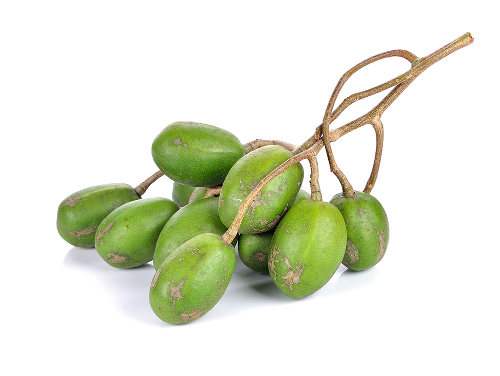 Ubos – Spondias mombin