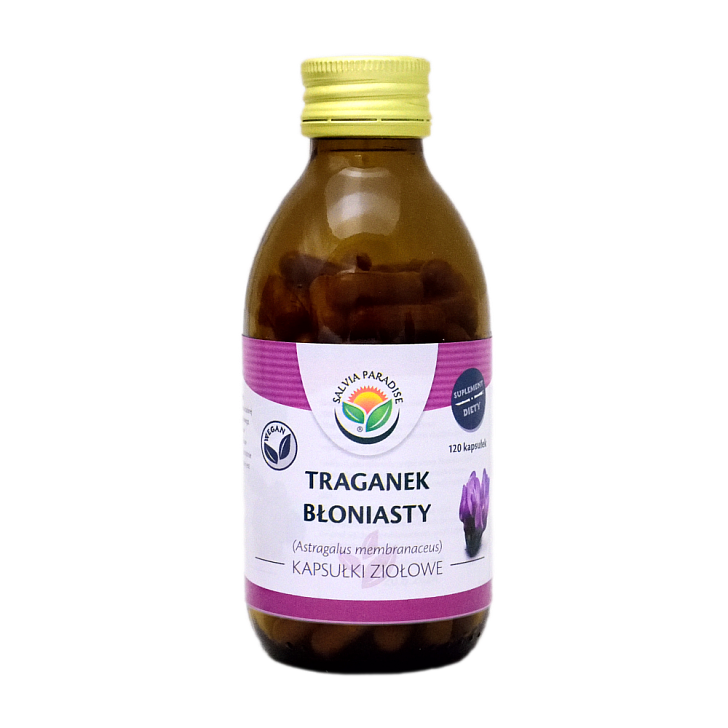 Astragalus-Kapseln 120 Stück - Tragant – Astragalus membranaceus