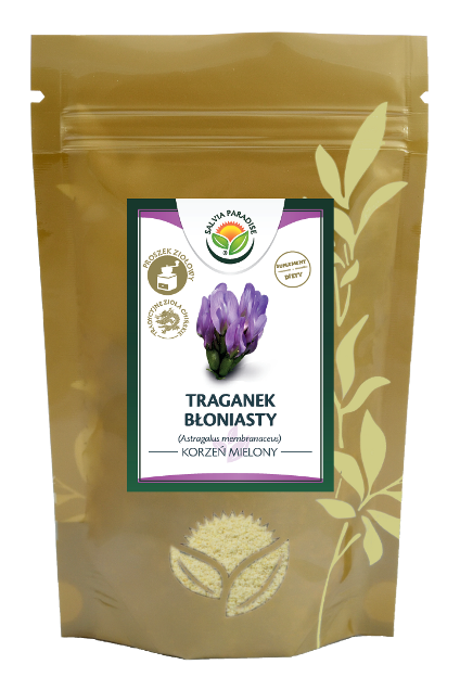 Astragaluswurzel gemahlen 100 g - Tragant – Astragalus membranaceus
