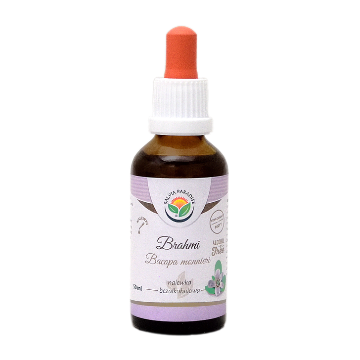 Bacopa monnieri – Brahmi AF Tinktur 50 ml - Alkoholfreie Tinkturen