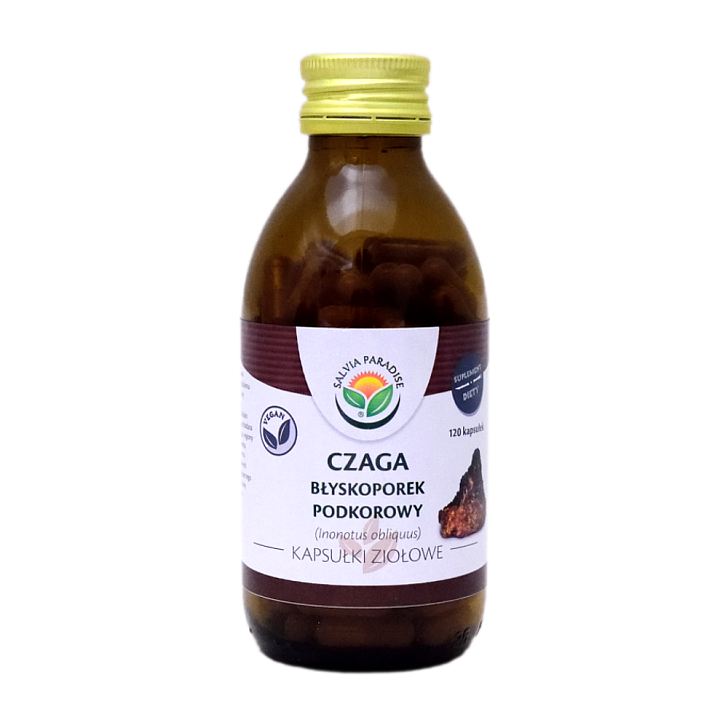 Chaga Vitalpilz Kapseln 120 Stück - Chaga – Inonotus obliquus