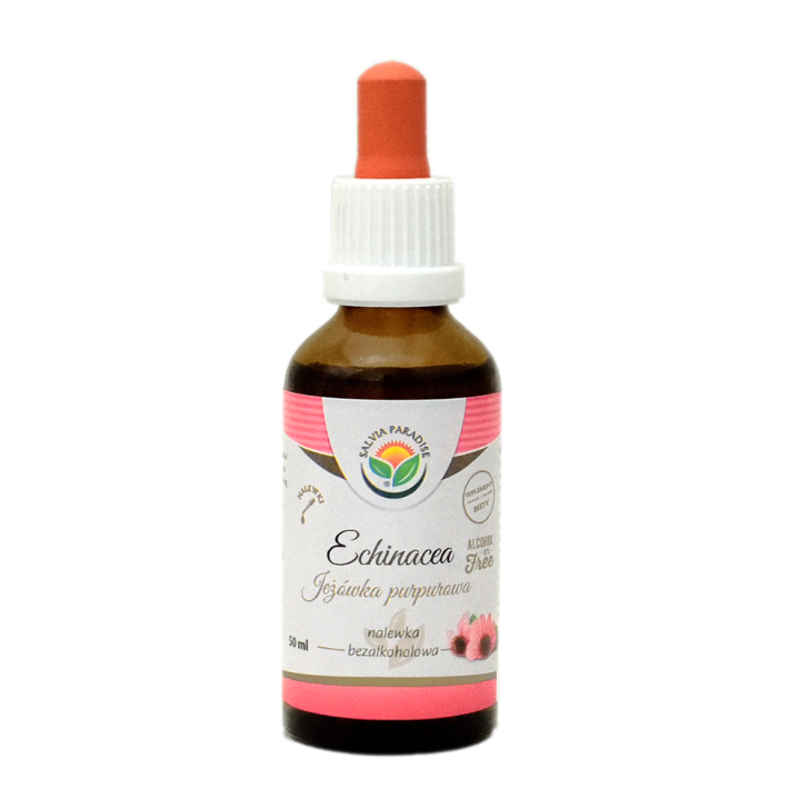 Echinacea – Purpursonnenhut AF Tinktur 50 ml - Alkoholfreie Tinkturen