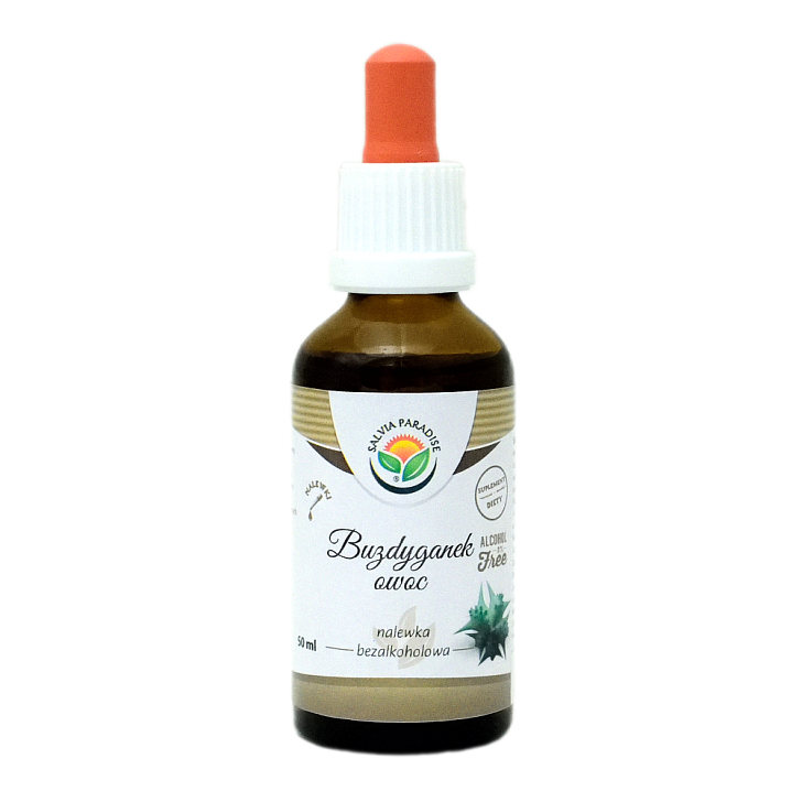 Erd-Burzeldorn Fruchttinktur AF 50 ml - Alkoholfreie Tinkturen