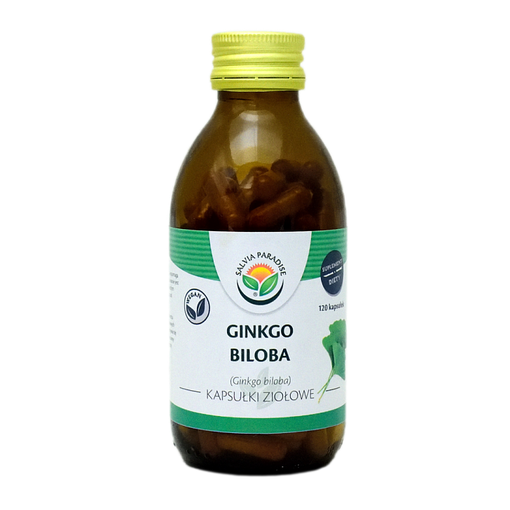 Ginkgo – Jinan Kapseln 120 Stück - Ginkgo biloba – Ginkgo