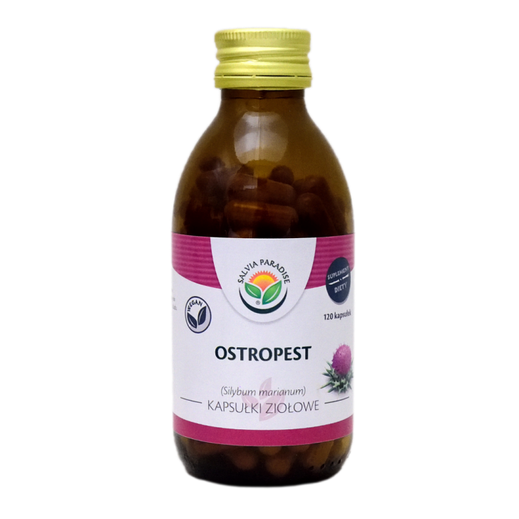 Mariendistel Kapseln 120 Stück - Mariendistel – Silybum marianum