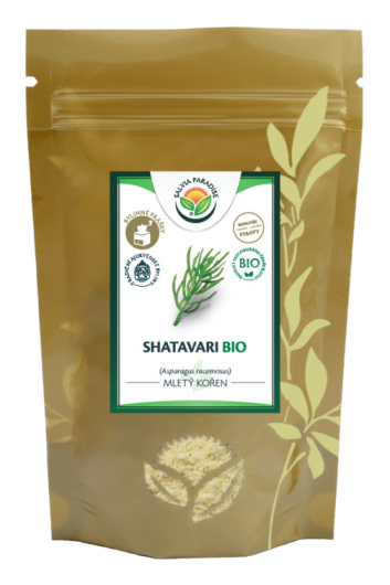 Shatavari Pulver BIO 100 g - Shatavari – Asparagus racemosus