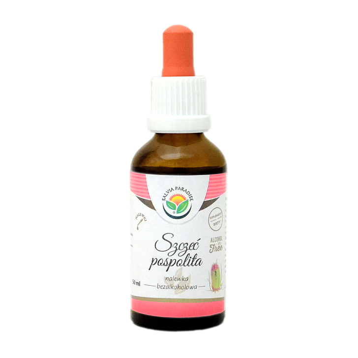 Wilde Karde AF Tinktur 50 ml - Wilde Karde – Dipsacus fullonum