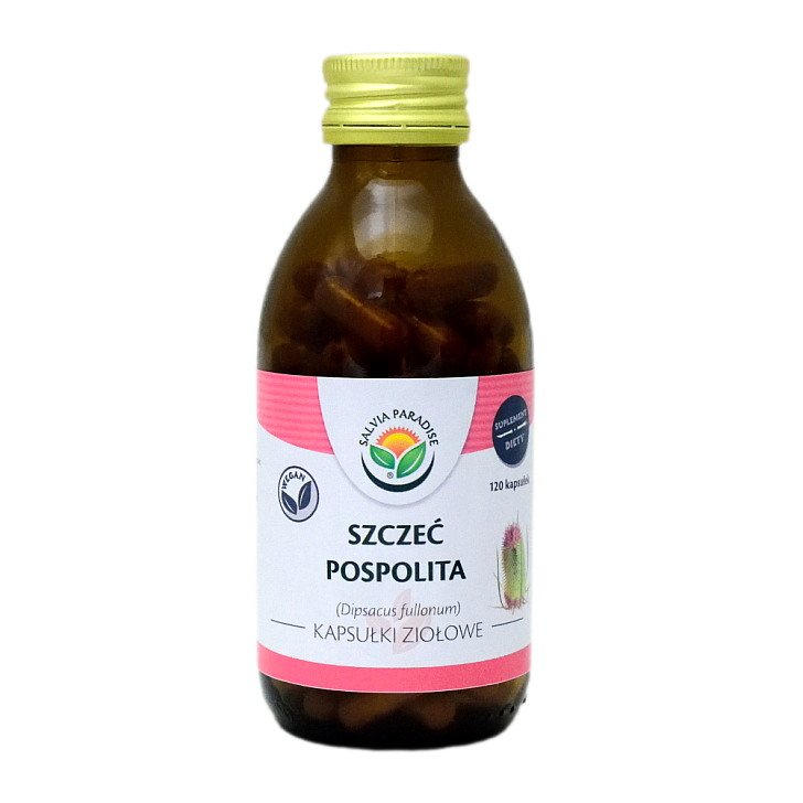 Wilde Karde Kapseln 120 Stück - Wilde Karde – Dipsacus fullonum